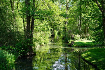 Fototapeta na wymiar Sonnige, grüne Wasserlandschaft im Spreewald