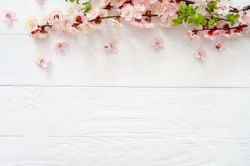 Spring blooming branches on white wooden background. Copy space. Top view.