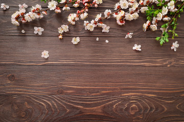 Spring blooming branches on wooden background. Copy space. Top view.