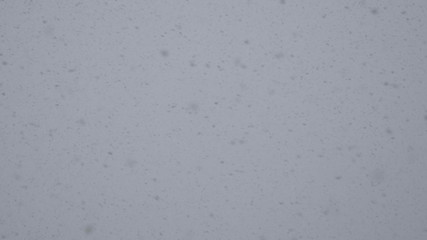 large flock of birds in the sky in the autumn before flying south