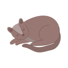 brown pet cat feline sleeping character isolated icon design