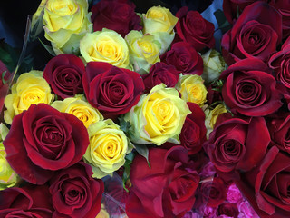 Full frame close-up view from directly above of beautiful bouquets of fresh red and yellow roses