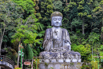 A large Buddha statue sits on a mountain edge in the Genting Highlands in Pahang, Malaysia, amongst tropical jungle. The Chin Swee Caves Temple is situated in the most scenic site of Genting Highlands