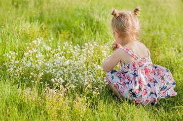 Fototapeta premium A little girl in summer dress with pigtails in a green field of summer grass with flowers