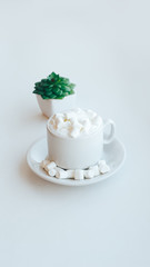 Cup of cappuccino with marshmallow and green plant on white background