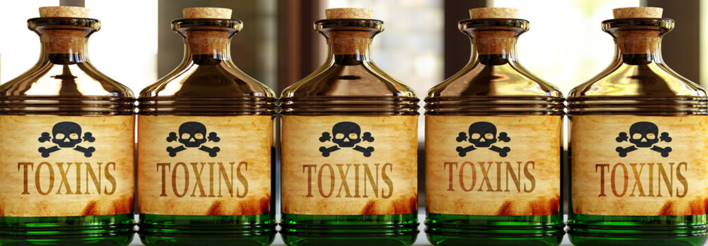 Toxins can be like a deadly poison - pictured as word Toxins on toxic bottles to symbolize that Toxins can be unhealthy for body and mind, 3d illustration