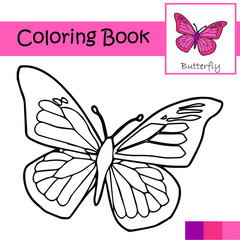 Graphic design themed coloring book with butterfly animal Pictures