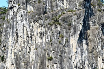 The surface of the cliff in Halong bay.