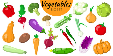 Set of 20 vegetable icons isolated on a white background. bright icons in the flat style. healthy food, organic food, vegetarian food. Vector illustration.