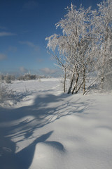 un paysage enneigé en hiver