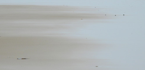 wet sand beach texture