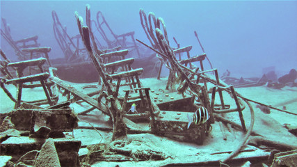 Underwater photo from a wreck dive off the coast of the island Gran Canaria - Spain - Atlantic ocean