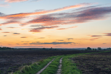 Dirt road in a rural field at sunset