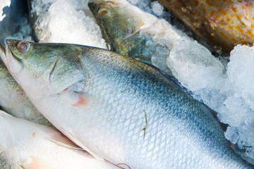 Fresh seabass and grouper fish sell on ice