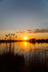 Sunset on the lake, the sun sets behind the trees and beautiful reflections in the water