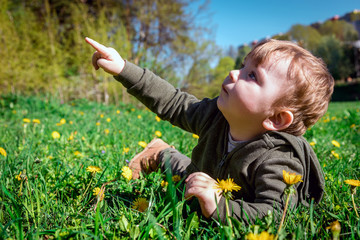 A little boy in a meadow among dandelions, lying in the grass. The child points a finger at something. Spring meadow. Happy childhood. The emotions of a child.