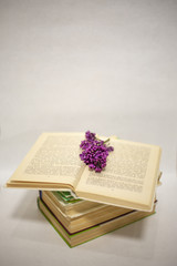 Open book with a sprig of lilac on a white background