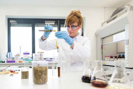 Chemist works with hemp CBDa oil in laboratory