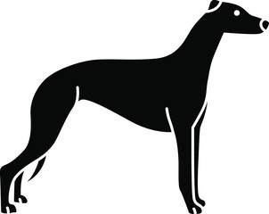 An icon illustration of a Greyhound
