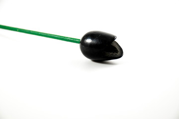 Still life with a black wooden tulip with a white background