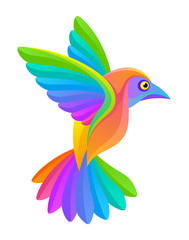 Rainbow bird on a white background