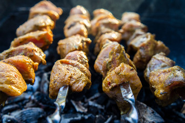 Grilled beef meat on skewers. Kebab close-up