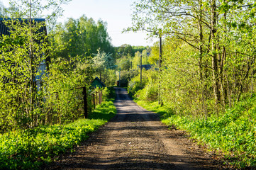 Country road near near the forest in the evening at sunset