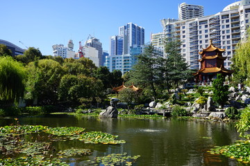 Beautiful Chinese garden and pond surrounding a pagoda contrasted by Sydney city in the background. Chinese Friendship Garden, Sydney, Australia.