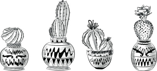 black and white set of cactus for coloring
