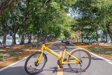 Fototapeta na wymiar Yellow bicycle on road through at green park.