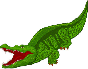 angry crocodile with open mouth green cartoon