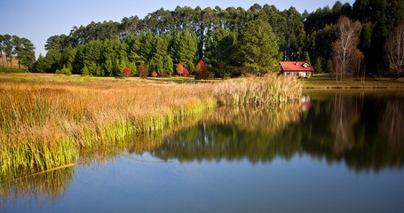 autumn landscape Dullstroom