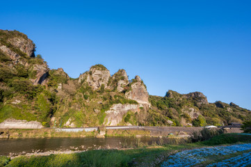 耶馬渓に咲くブルーの美しいネモフィラ(大分県)