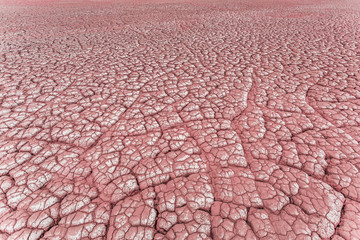 Dry and cracked ground background. Salt polluted soil. Global warming and climate change....