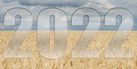 2022 against the background of a wheat field