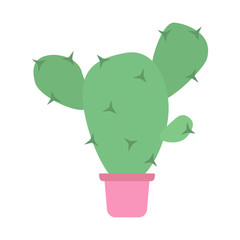 Cartoon cactus icon. Flat cactus vector illustration.