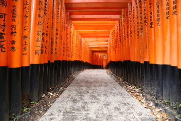 Kyoto's Fushimi Inari and ten thousand red torii