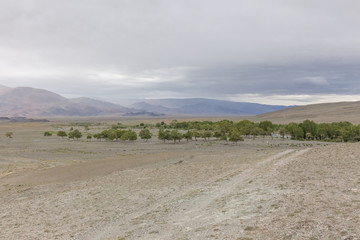 Altai Tavan Bogd National Park in Bayar-Ulgii, Mongolia.
