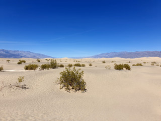 Fototapeta na wymiar sand dunes in death valley california