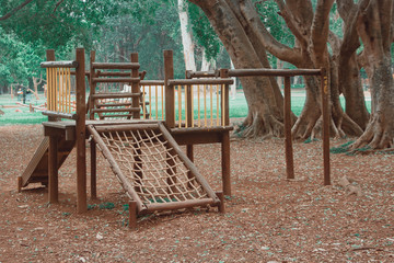 My daily pics for you! 