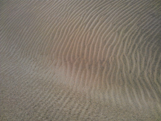 Structure of wind drifts on a sand dune