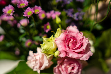 bouquet of pink roses