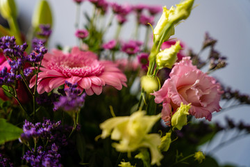 pink and white flowers