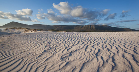 ripples on the beach sand landscape