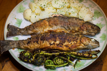 Trout for Dinner with Parsley Potatoes and Fiddlehead Ferns.