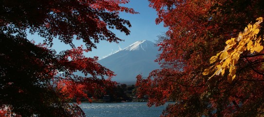 富士五湖紅葉