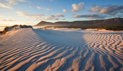 ripples on the beach sand landscape