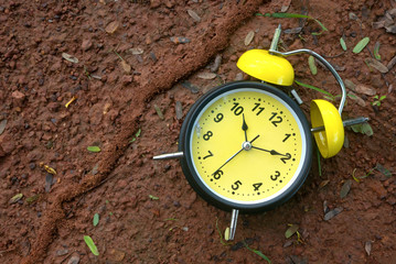 Top view of yellow vintage alarm clock on the ground beside ant nest.