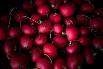 European spring fresh radish. Black background.