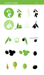 Illustrations set organic olives flat vector 